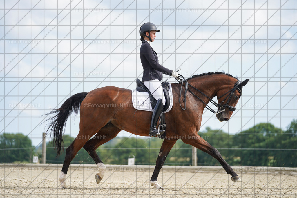 20230826-FAH06180 | Forstinning, 2023, Dressurturnier, Turniersportbilder, Turnierfotografen Bayern, Fotoagentur Herrmann, Reitsportfotografie, Turnierbilder