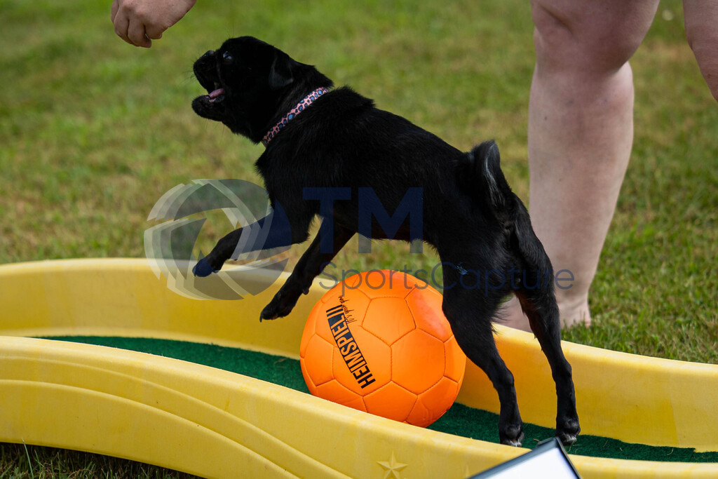 TP-20240815-0090 | Copyright: Trainproduction / Matthias Trinkl