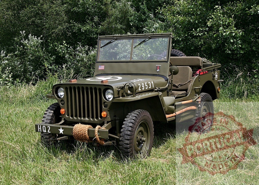 Willys Jeep military vehicle from World War II standing in field | Willys Jeep army vehicle from World War II parked in a grassy field - Realisiert mit Pictrs.com