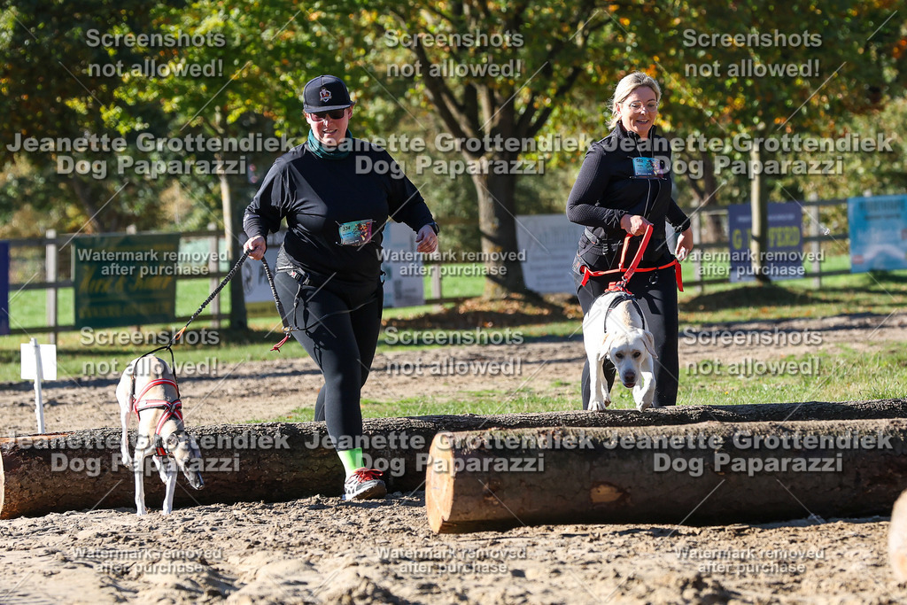 Dog Paparazzi - Strongdog 10-25-2316 | Dog Paparazzi Jeanette Grottendiek Fotografie & Videografie - Realisiert mit Pictrs.com