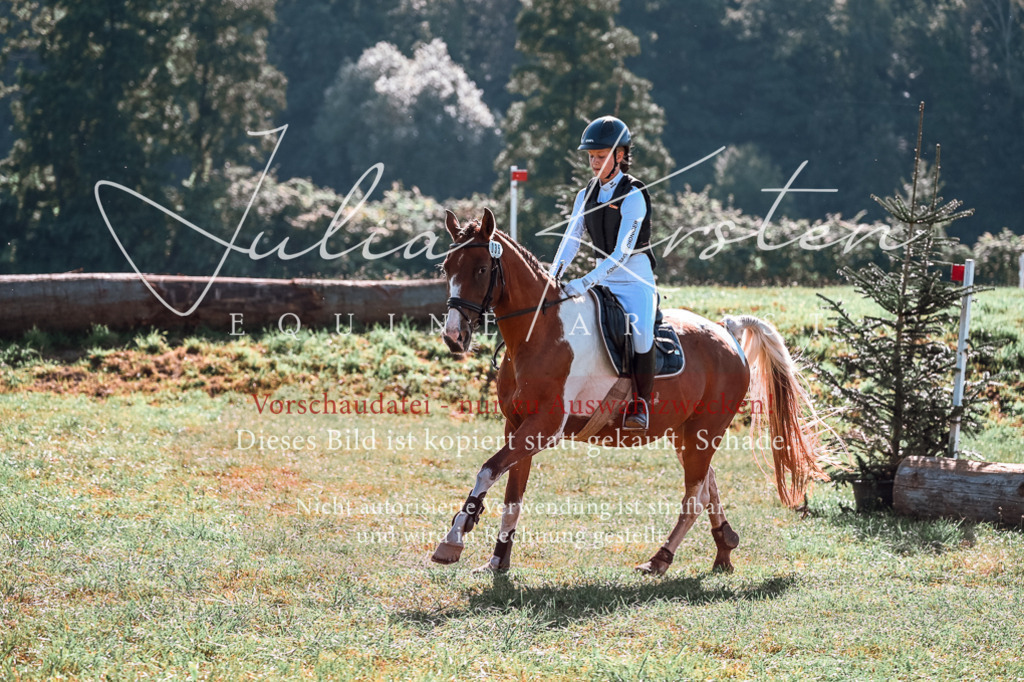 DSC_1020 | Pferde- und Turnierfotografie in Westsachsen. Pferdeportraits, Auftragszeichnungen und intuitive Kunst.