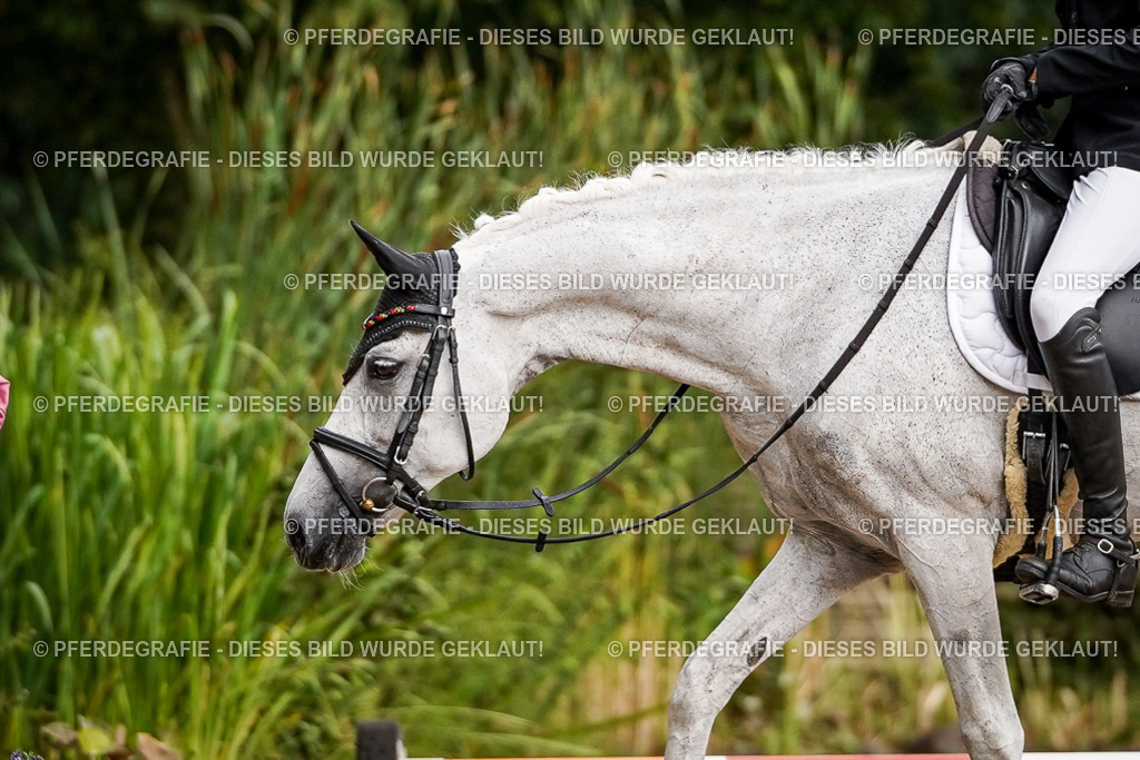 DSC02202 | Pferdegrafie