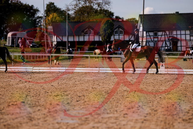 2026_10_03_Siefer-Hof_130852_Z81_62178358 | Professionelle Reitsport-, Turnier- und Eventfotografie von Robert Broda. Galerien mit ausgewählten und bearbeiteten Bildern direkt online ansehen und bestellen.
