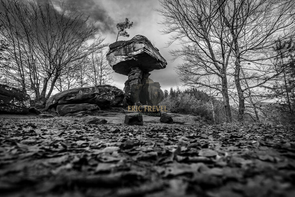 IMG_8586 | Photography by Eric Frevel - Realisiert mit Pictrs.com