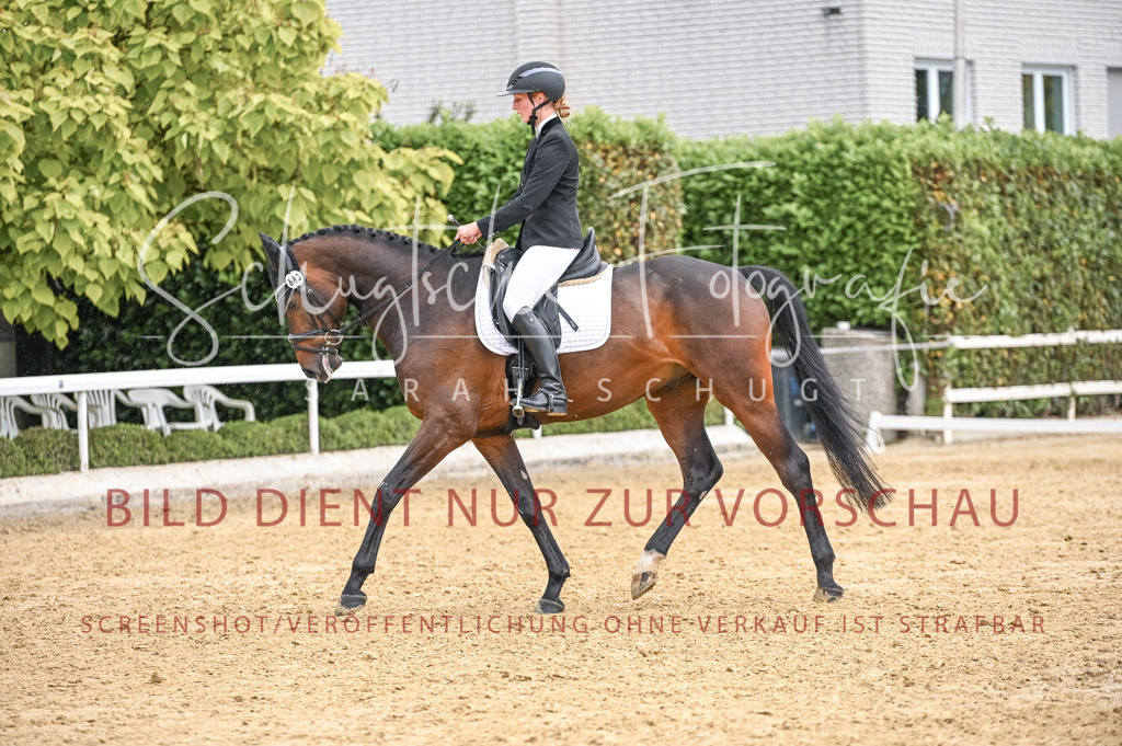 Schugtsche-Aluta25-41.Amat-Dressurprf.A_-471 | Schugtsche Fotografie - Realisiert mit Pictrs.com