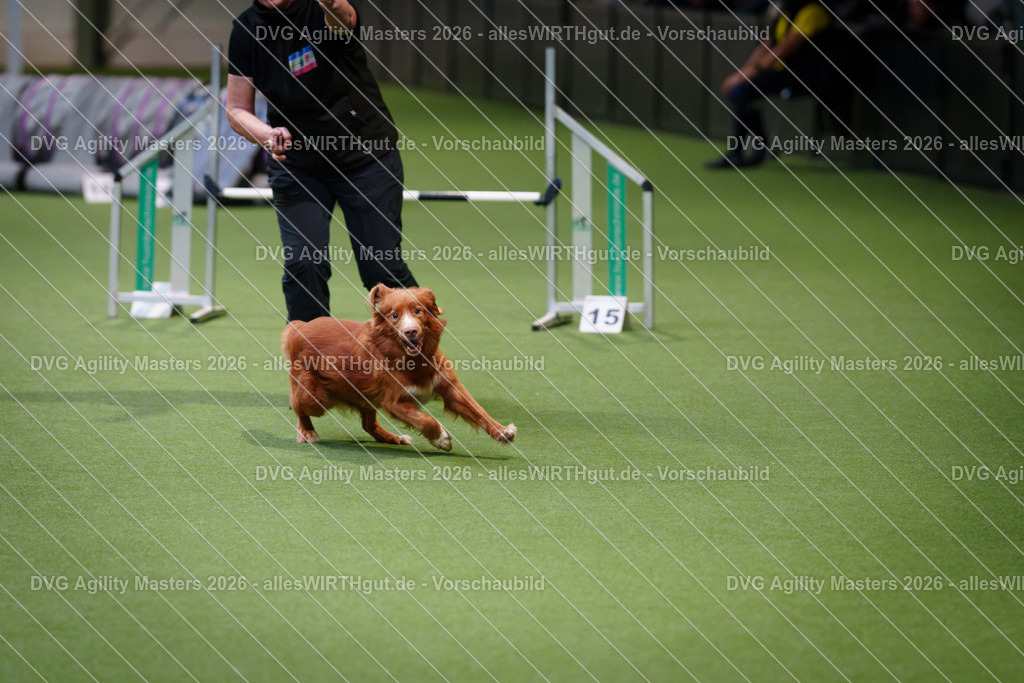 allesWIRTHgut_Tierfotografie-DVG_Agility_Masters_2026-08_23-7R500281 | Professionelle Tierfotografie in Mönchengladbach von Daniel Wirth (allesWIRTHgut). Liebevolle & natürliche Bilder von Hunden & Katzen für unvergessliche Erinnerungen.