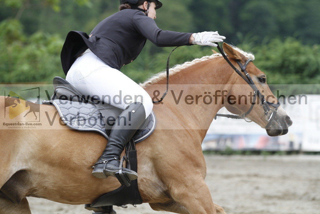 _MG_6255 | equestrian-live-com