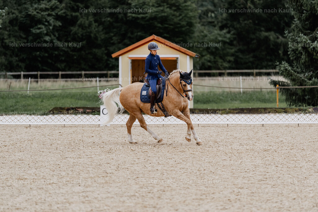 Nici11_FHC2025-8258 | working equitationturnier fotograf videograf stoibphotography marixx film working equitation deutschland reitsport turnierfotografie eventfotografie equestrian events
