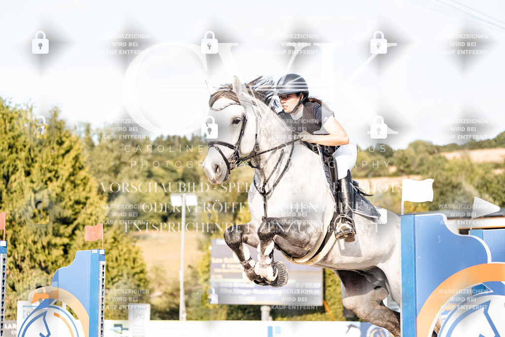 CK903381 | Turnierfotografie Pferdefotografie Trier Rheinland-Pfalz Pferdesport Reitsport Tierfotografie Sportfotografie Pferdevideo Pferdevideografie Equestrianvideography equestrianphotography  - Realisiert mit Pictrs.com