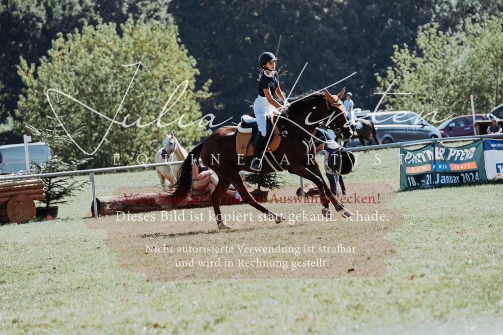 DSC_6574 | Pferde- und Turnierfotografie in Westsachsen. Pferdeportraits, Auftragszeichnungen und intuitive Kunst.