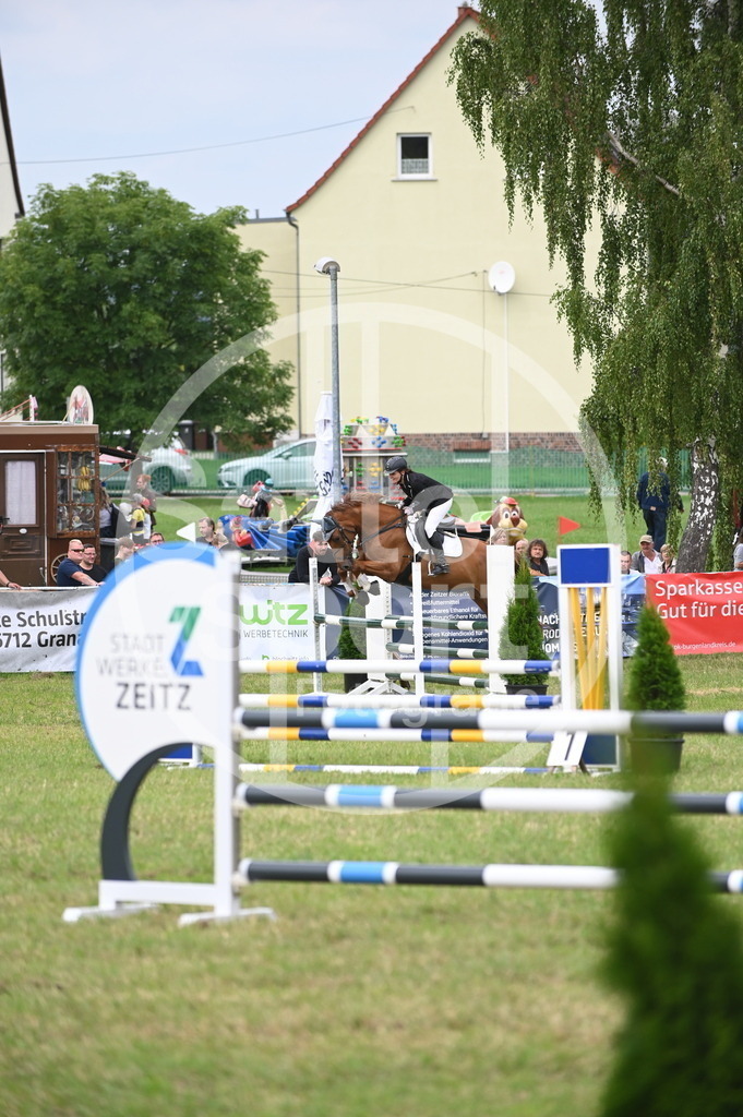 DSC_1572 | sattelsport - Realisiert mit Pictrs.com