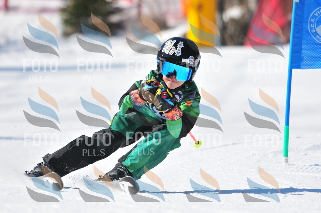 C3138 | holidayphoto