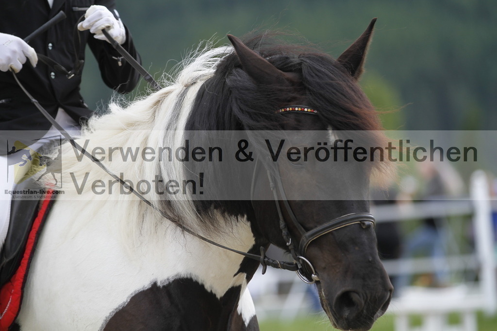 _MG_3927 | equestrian-live-com