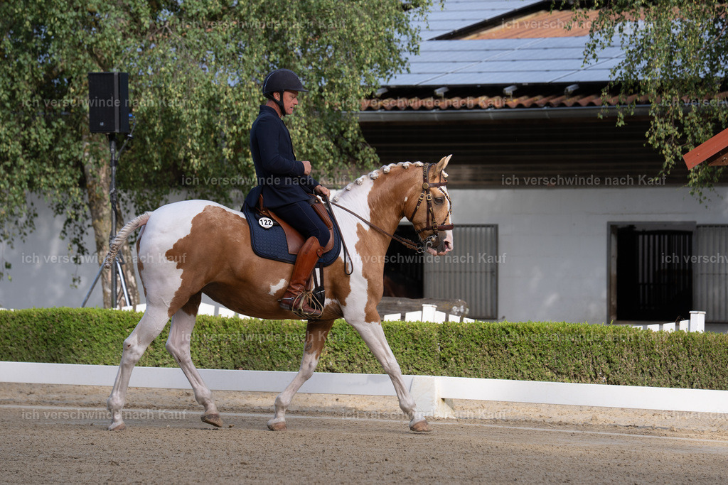 WS_DR_122_sinafilmart_IN00180 | working equitationturnier fotograf videograf stoibphotography marixx film working equitation deutschland reitsport turnierfotografie eventfotografie equestrian events