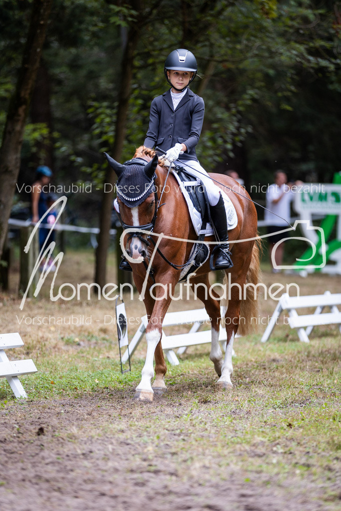 HB-Reiter-WB-034 | MomenTaufnahmen Pferdesportfotos