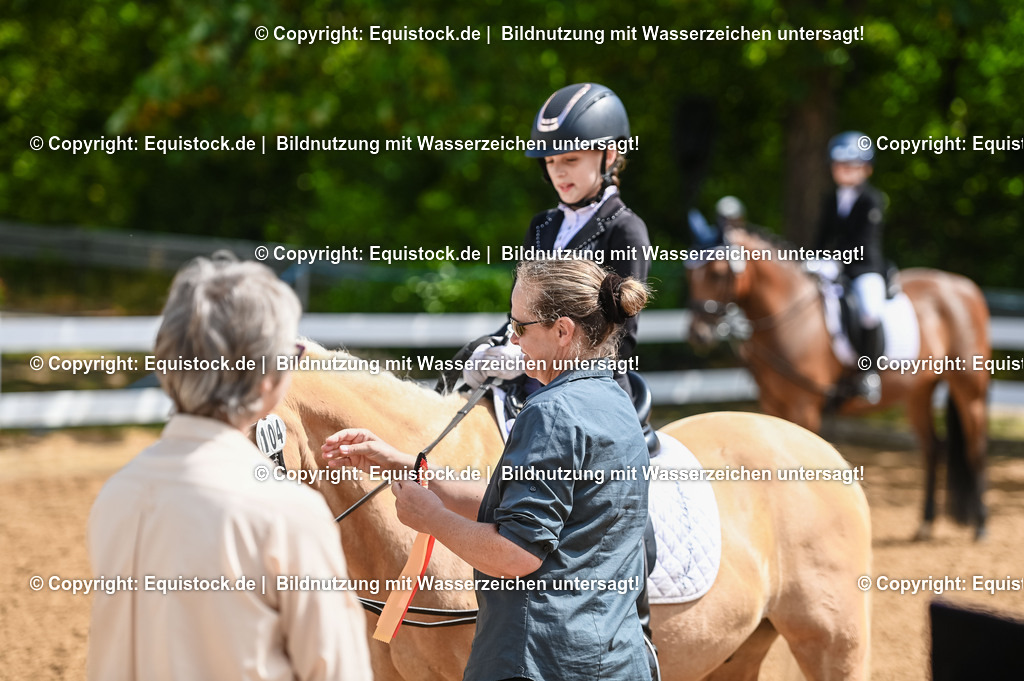 20230716_10-3_Reiter-WB Schritt - Trab - Galopp_0196 | equistock