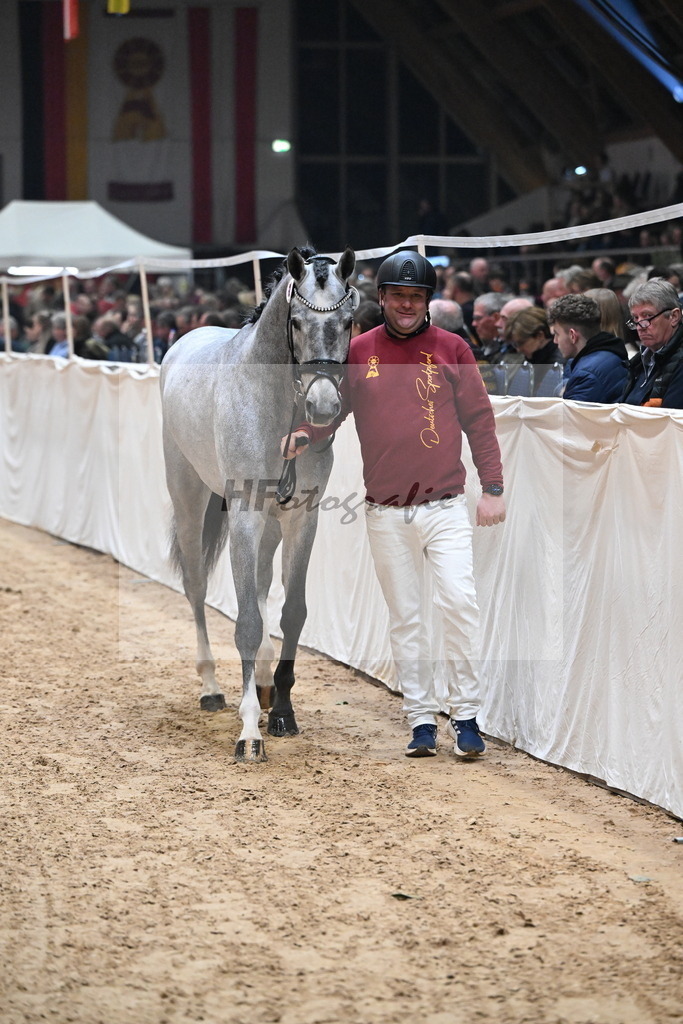 Kat.-Nr. 8 v. Chacoon Blue_Nahm_2251317 | hf-fotografie - Realisiert mit Pictrs.com