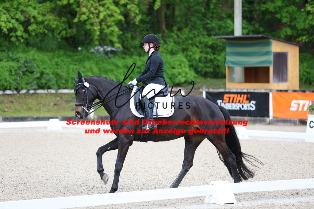 A40A9943 | lmwpictures - Realisiert mit Pictrs.com