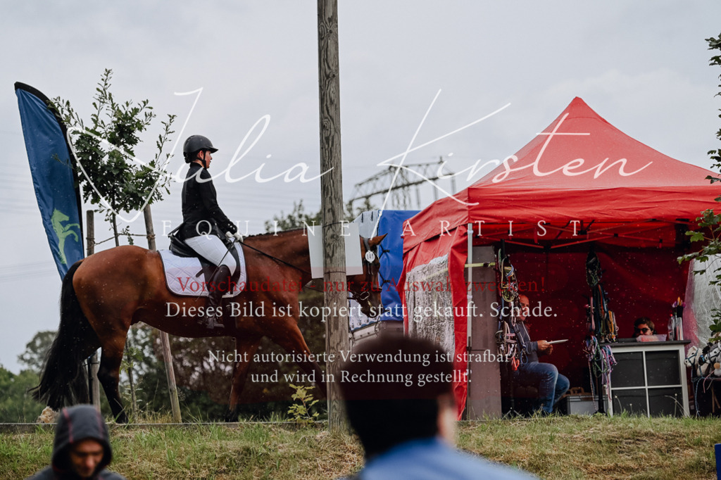 DSC_7023 | Pferde- und Turnierfotografie in Westsachsen. Pferdeportraits, Auftragszeichnungen und intuitive Kunst.
