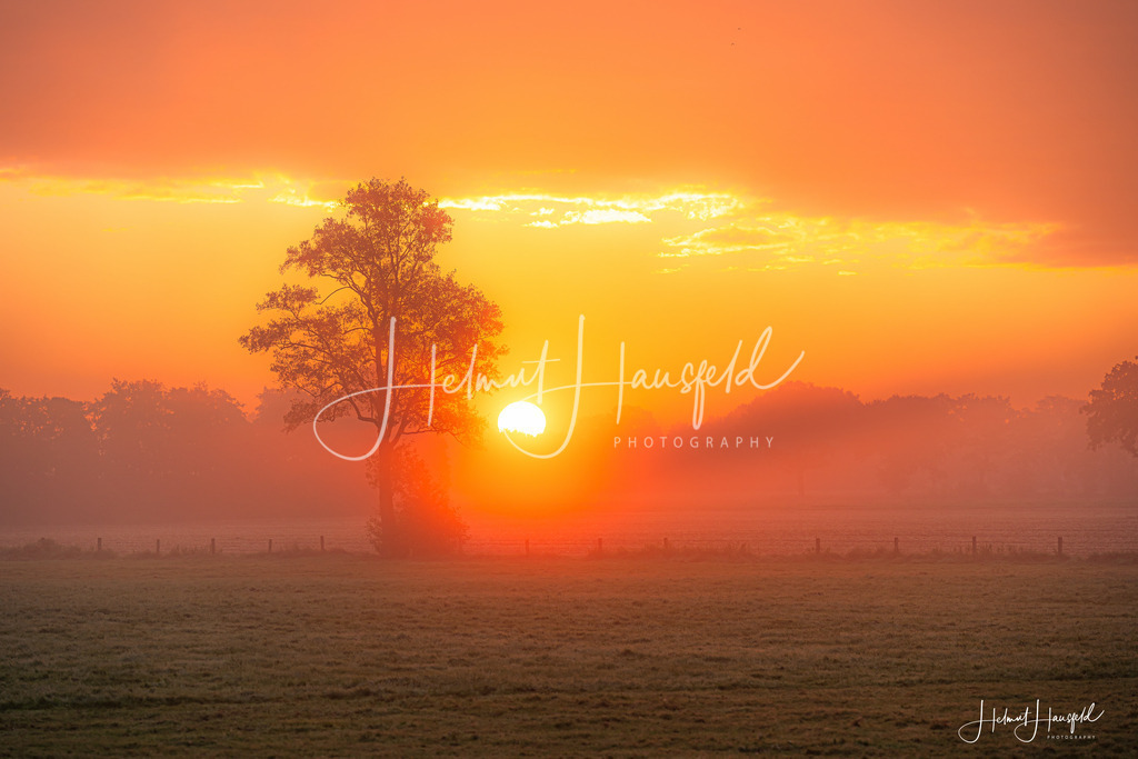 DSC00457 | Landschaftsfotografie, Naturfotografie - Realisiert mit Pictrs.com