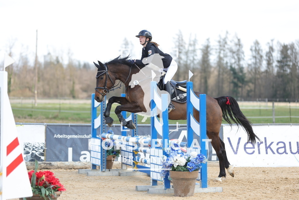 0P6A7473 | Willkommen bei Brunnmayr - Design & Fotografie – Ihrem Spezialisten für Reitturniere und Pferdeveranstaltungen in Oberösterreich, Salzburg und Bayern! Seit über 17 Jahren sind wir leidenschaftlich dabei.