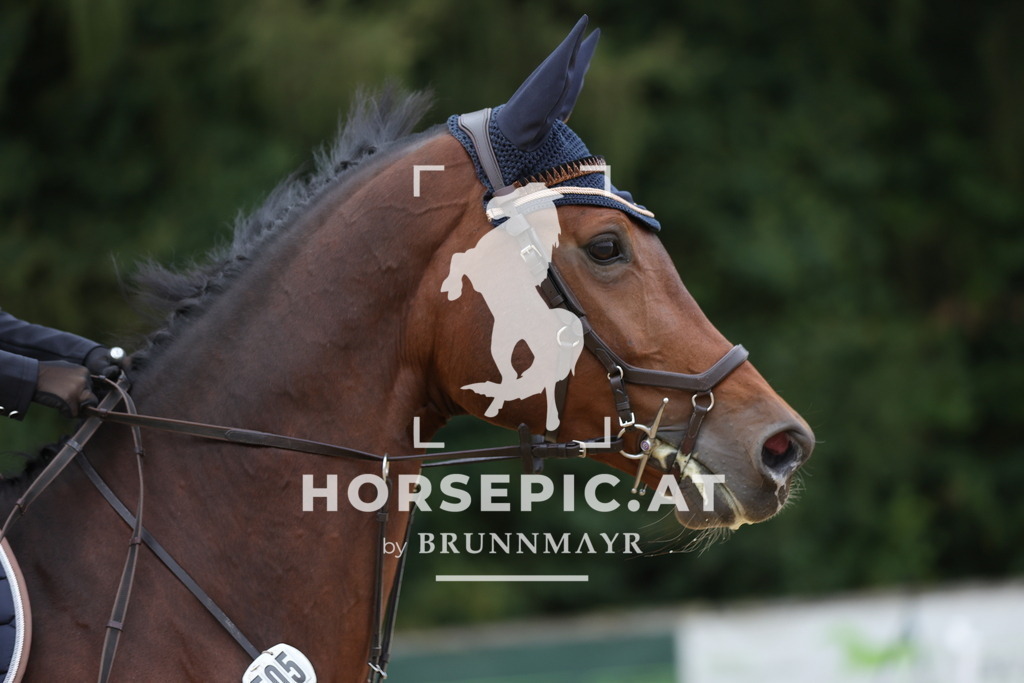 0P6A5353 | Willkommen bei Brunnmayr - Design & Fotografie – Ihrem Spezialisten für Reitturniere und Pferdeveranstaltungen in Oberösterreich, Salzburg und Bayern! Seit über 17 Jahren sind wir leidenschaftlich dabei.