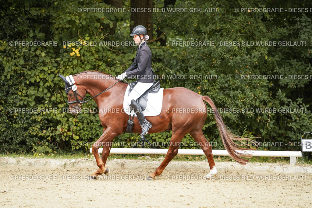 DSC00398 | Pferdegrafie