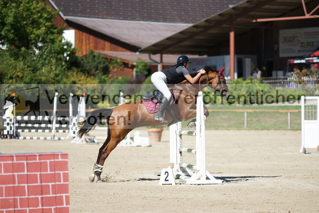 DSC07703 | equestrian-live-com