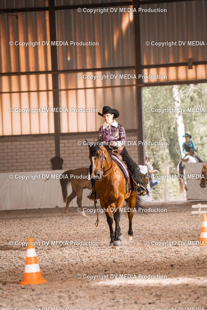 ZH100856 | dv-media-shop - Realisiert mit Pictrs.com