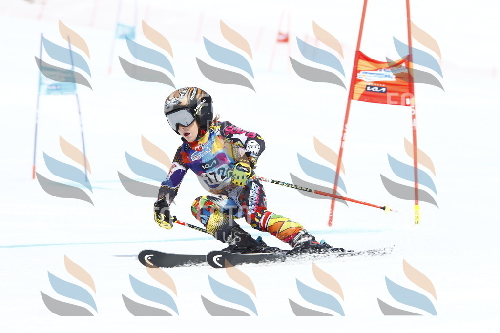 _U3G4552 | holidayphoto