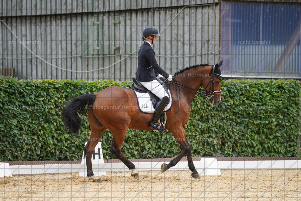 20240630-FAH02066 | Turnierbilder Schwabmünchen, Dressurbilder, Springreitturnier, Reitsportbilder, Turnierfotografen Bayern, Turnierfotograf