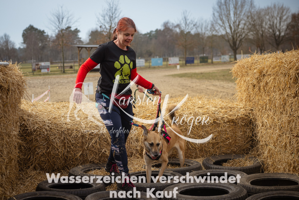 1133_ZZ94330 | kk-dogfotos