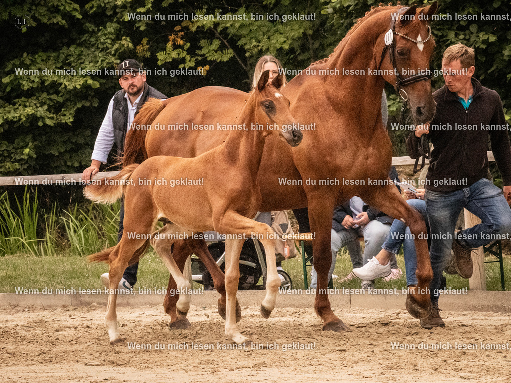 A10I1292 | photographylinaismer - Realisiert mit Pictrs.com