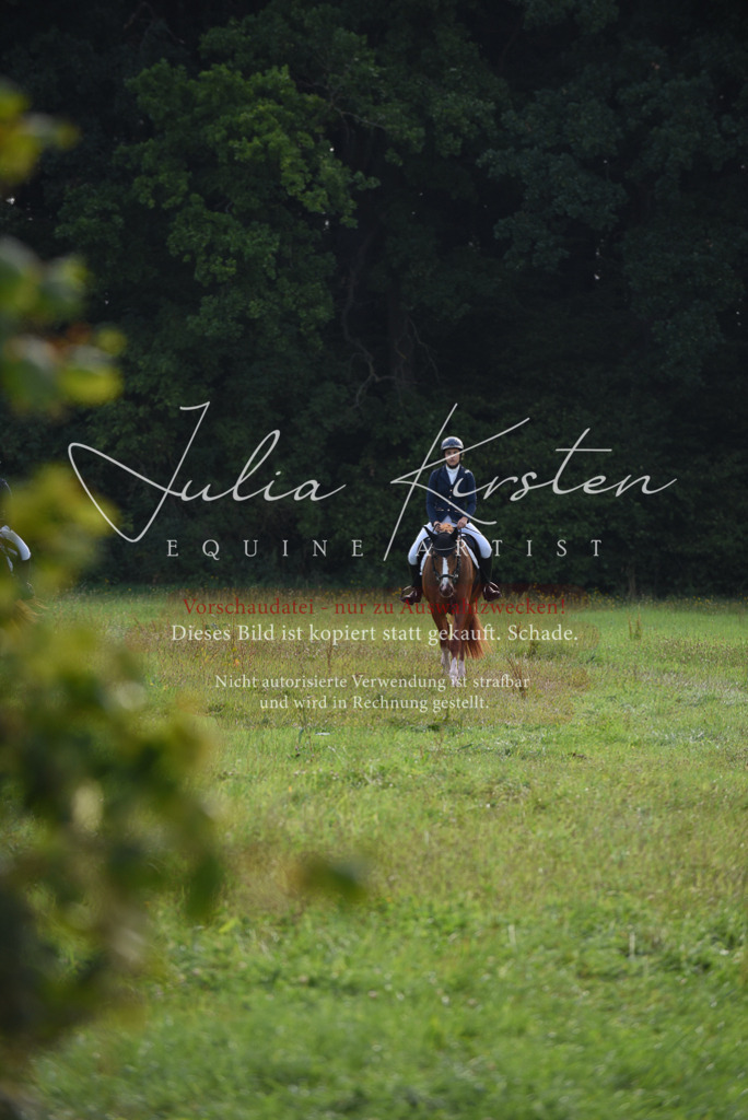 DSC_8533 | Pferde- und Turnierfotografie in Westsachsen. Pferdeportraits, Auftragszeichnungen und intuitive Kunst.