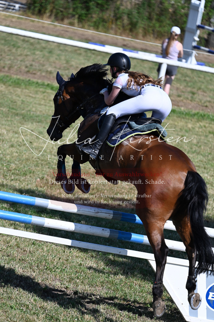 DSC_1904 | Pferde- und Turnierfotografie in Westsachsen. Pferdeportraits, Auftragszeichnungen und intuitive Kunst.