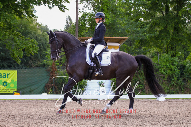 DKP41142 | Turnierfotos kaufen im Webshop von Daniel Kuhl Photography – entdecke professionelle Reitsportfotos aus Turnieren & Events. Hochwertige Turnierbilder online bestellen & sichern. Jetzt Fotos von Reitsportturnieren kaufen!