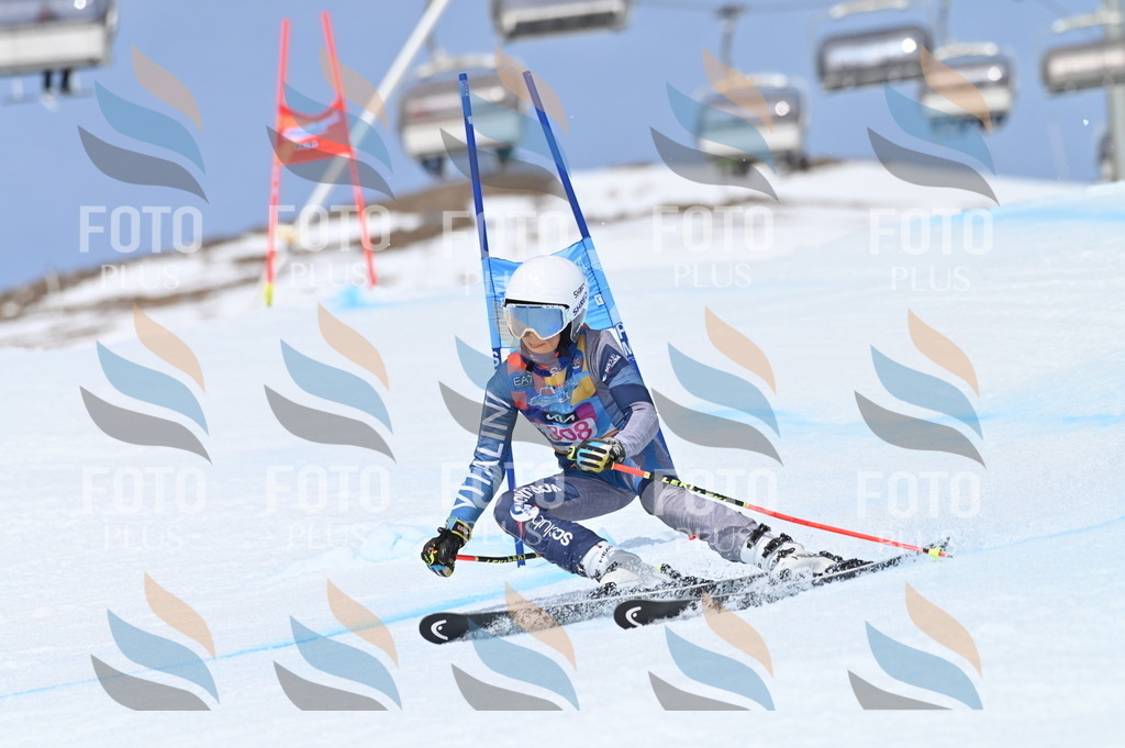 BGV_2907 | holidayphoto