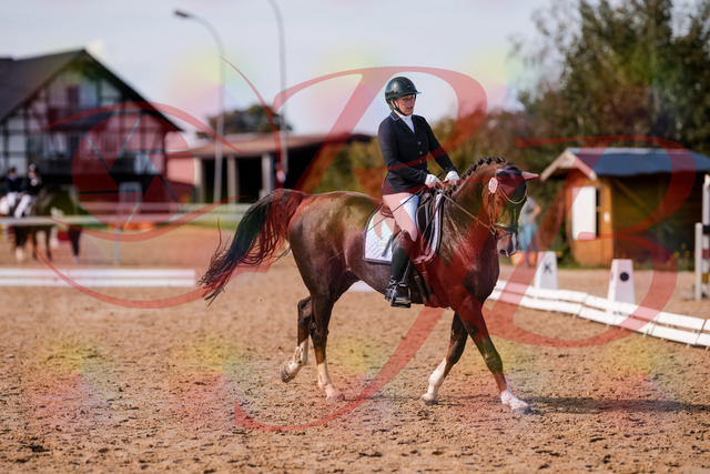 2026_10_03_Siefer-Hof_132538_Z81_77419882 | Professionelle Reitsport-, Turnier- und Eventfotografie von Robert Broda. Galerien mit ausgewählten und bearbeiteten Bildern direkt online ansehen und bestellen.