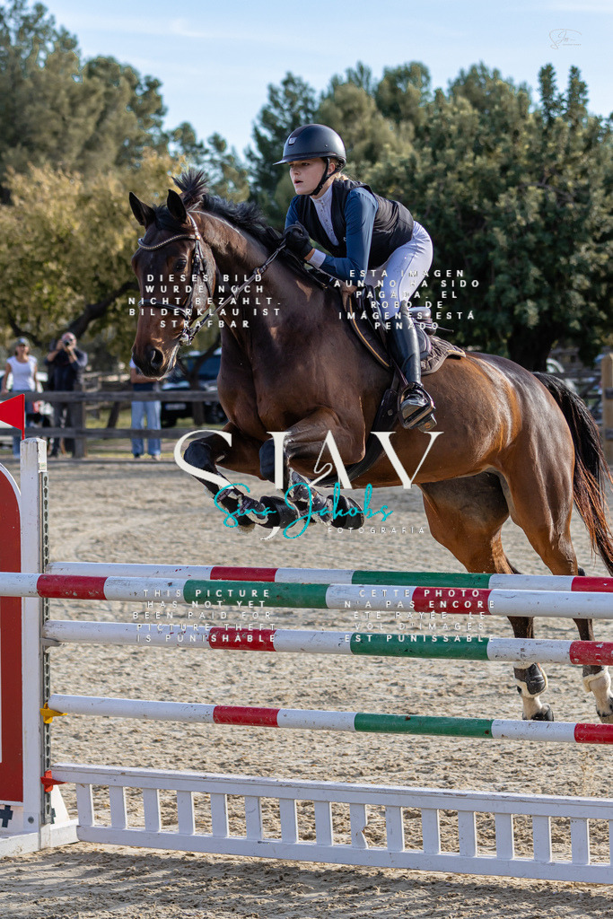 IMG_0319 | s-jay-photography - Realisiert mit Pictrs.com