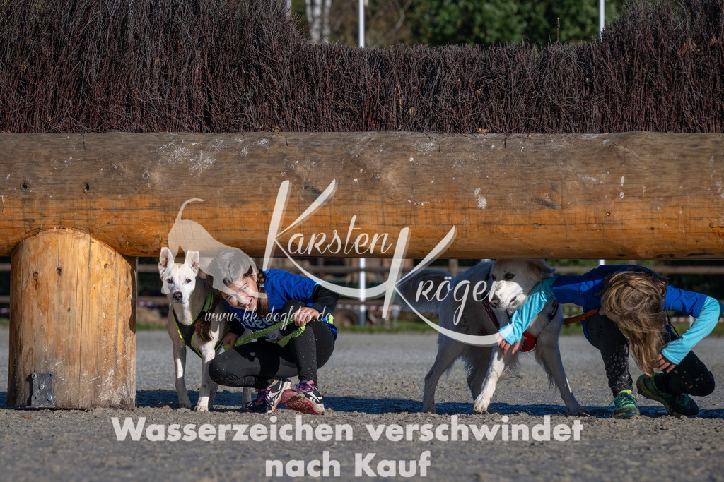 1021-_ZZ90934 | kk-dogfotos