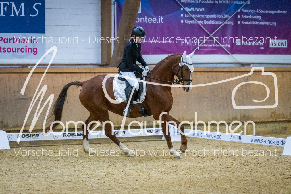 Sth-WBO25-DrR-074 | MomenTaufnahmen Pferdesportfotos