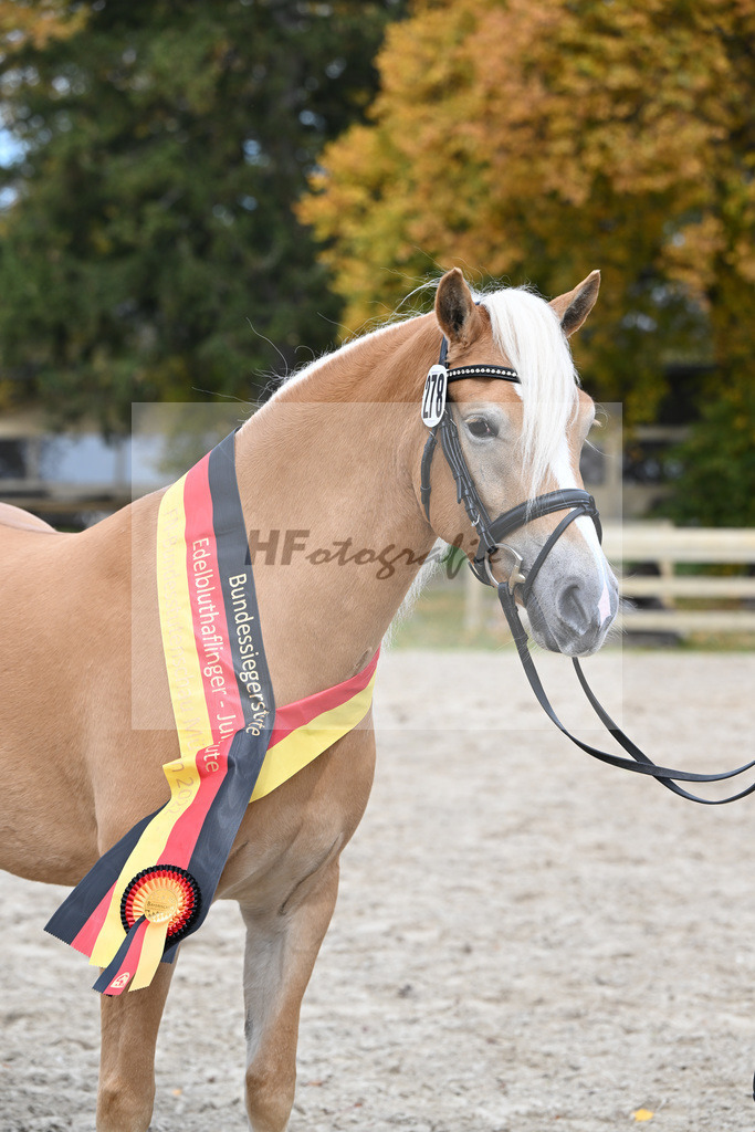 Kat-Nr. 278 Daria_Obermaier_54223400 | hf-fotografie - Realisiert mit Pictrs.com