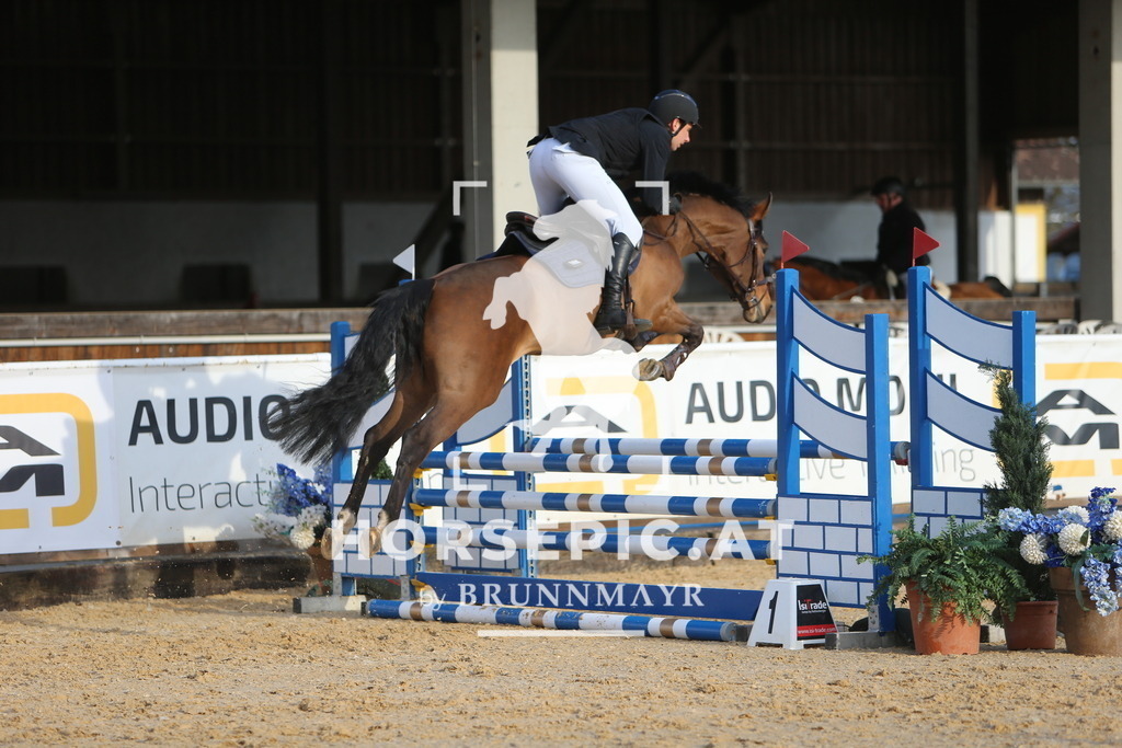 DL2Q8017 | Willkommen bei Brunnmayr - Design & Fotografie – Ihrem Spezialisten für Reitturniere und Pferdeveranstaltungen in Oberösterreich, Salzburg und Bayern! Seit über 17 Jahren sind wir leidenschaftlich dabei.