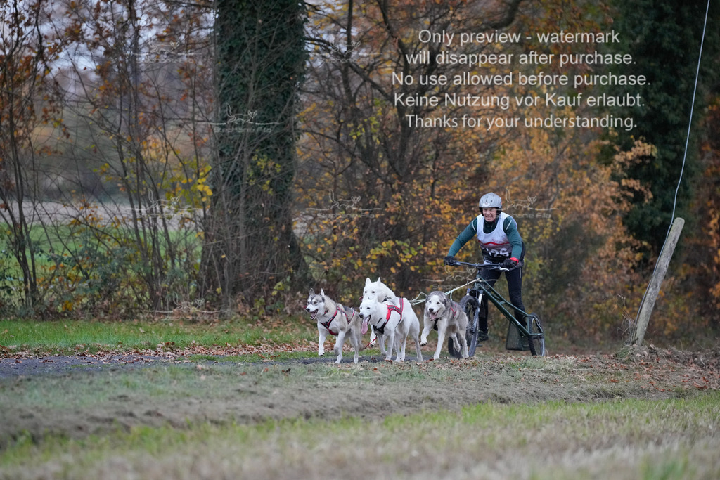 Visbeck_Sa_D4_6-11 | stephaniefillaphotographie - Realisiert mit Pictrs.com