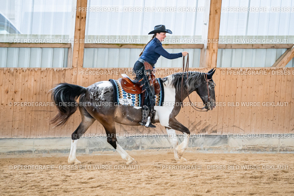 DSC02799 | Pferdegrafie