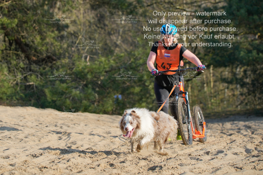 So_Scooter-320 | stephaniefillaphotographie - Realisiert mit Pictrs.com