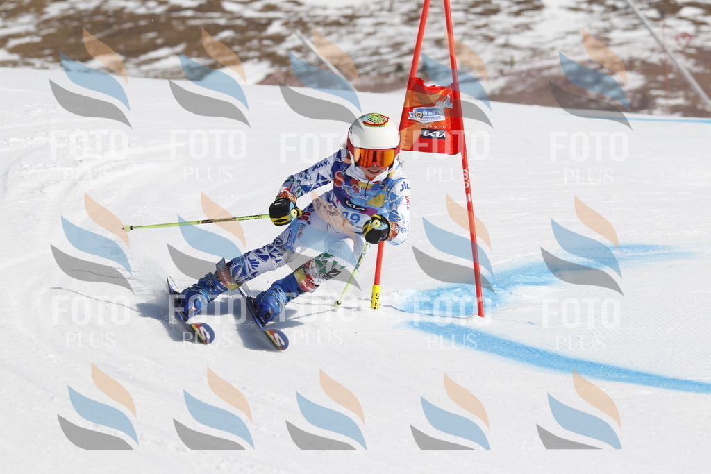 _U3G9391 | holidayphoto