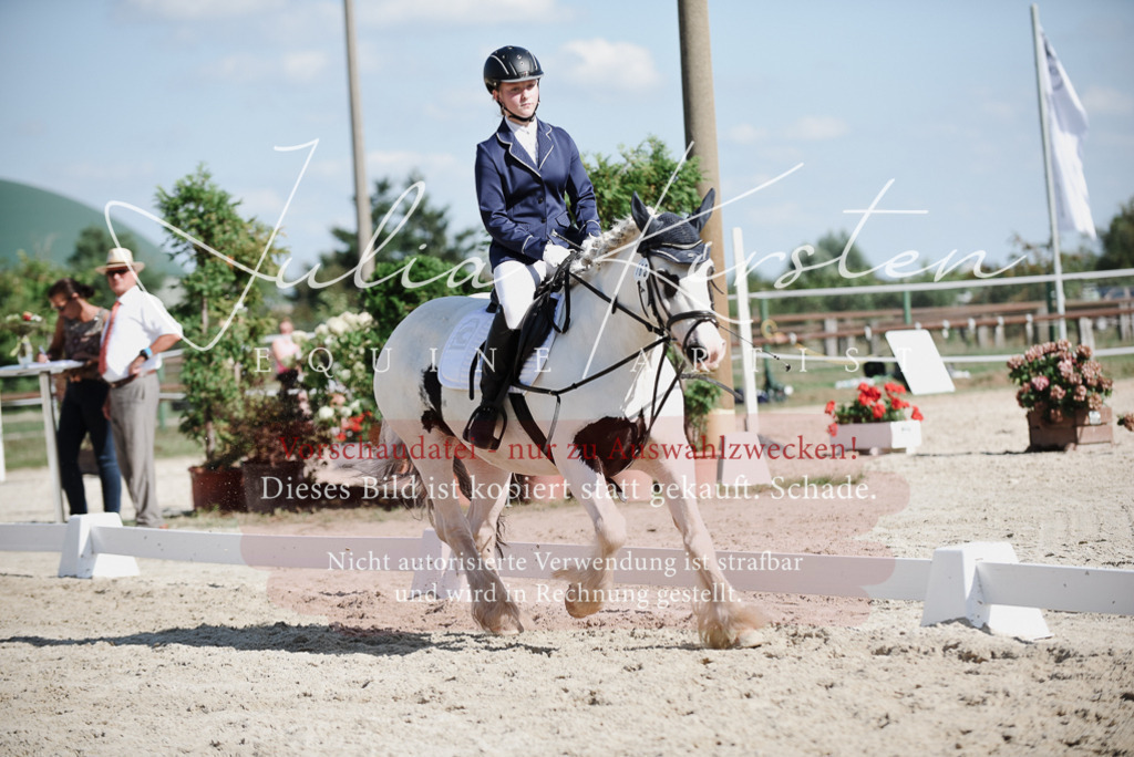 DSC_0151 | Pferde- und Turnierfotografie in Westsachsen. Pferdeportraits, Auftragszeichnungen und intuitive Kunst.