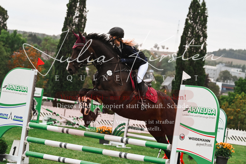 DSC_6528 | Pferde- und Turnierfotografie in Westsachsen. Pferdeportraits, Auftragszeichnungen und intuitive Kunst.