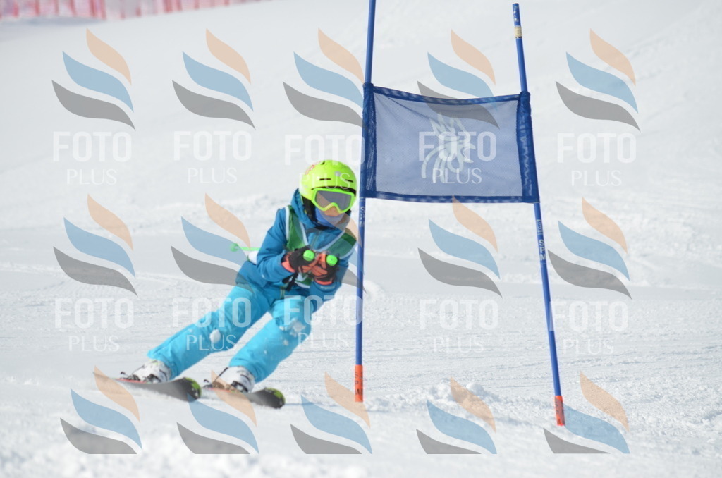 D8632 | holidayphoto